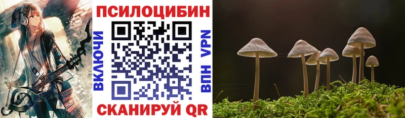 Псилоцибиновые грибы ЛСД  нарко площадка клад  Кандалакша  купить наркотики цена 